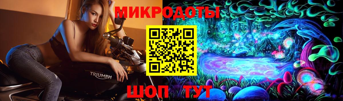 Галлюциногенные грибы Psilocybine cubensis Евпатория